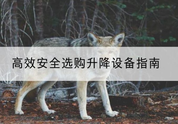 湖南升降货梯厂家推荐-*安全选购升降设备指南