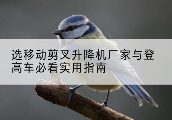 湖南电动升降机厂家-选移动剪叉升降机厂家与登高车必看实用指南